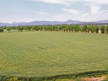 Duplicará rendimiento