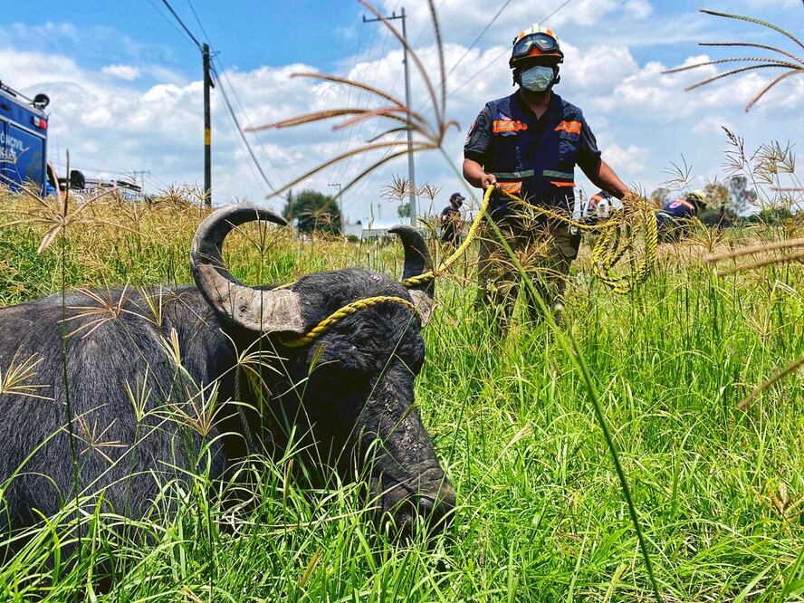 Foto: Protección Civil de El Marqués