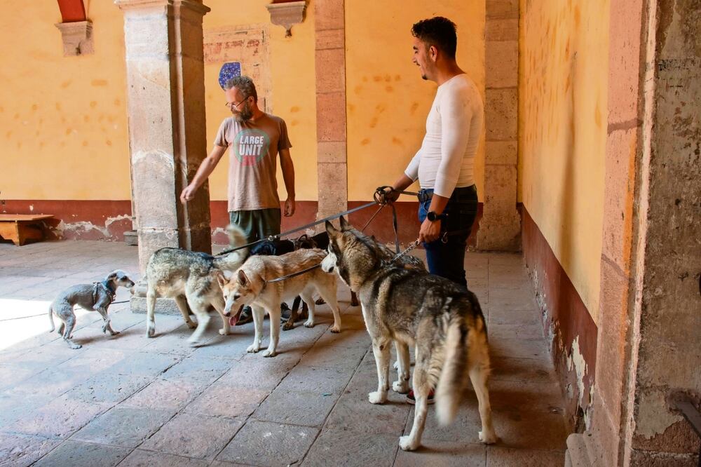 MITZI OLVERA MENDOZA