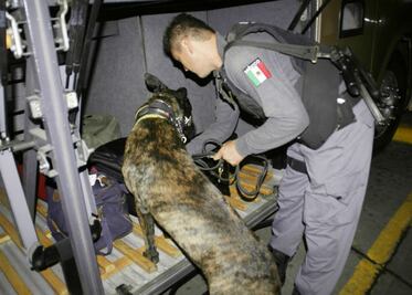 Intensifican revisiones en la Terminal de Autobuses