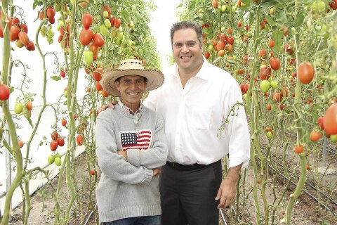 Garantizan apoyos durante campañas