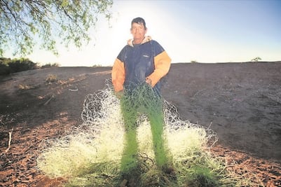 Jerónimo Palomares documenta en fotos historias de naufragios