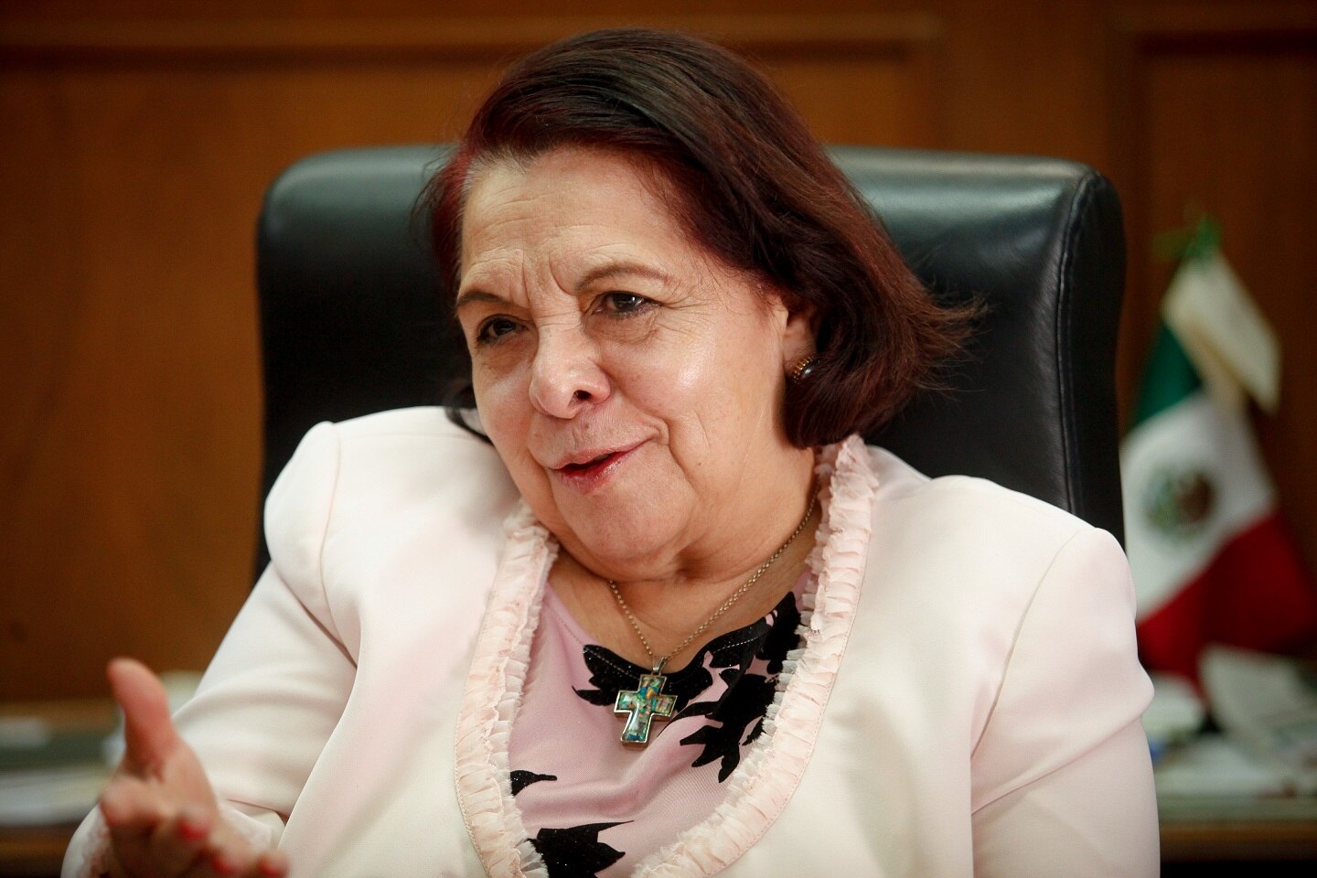 Jubilación de Celia Maya es excesiva: Morena