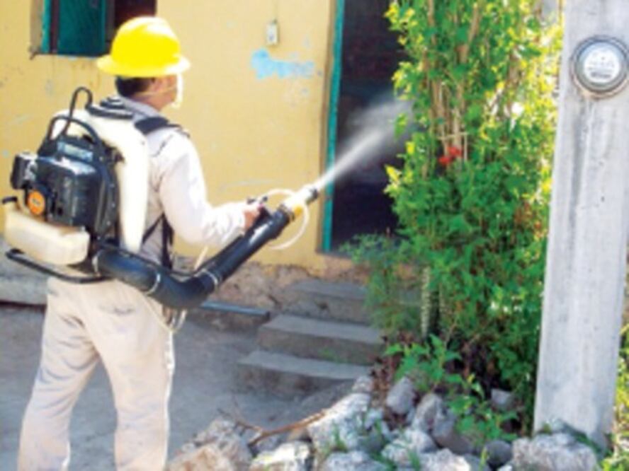 Previene Salud casos de dengue