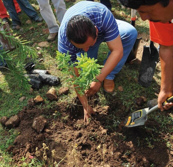 Difunden nuevo reglamento de operación para Pronafor