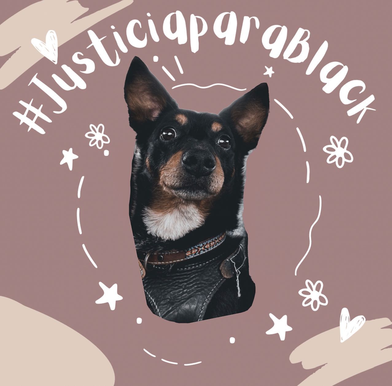 Piden justicia para Black; ingresó a una veterinaria en Querétaro y lo regresaron sin vida