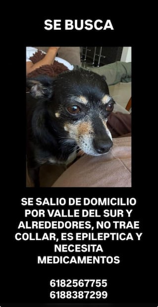 FOTO. ESPECIAL