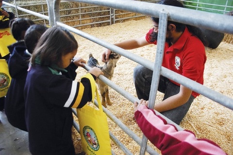 Acercan a niños temas del campo