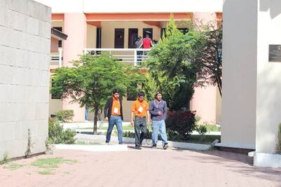 Laboran en su carrera, sólo 30%