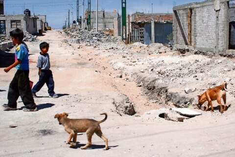 Desconocen monto para combatir hambre