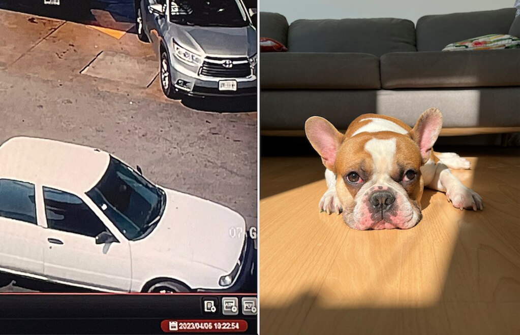 Se roban a Frank en la México-Querétaro; se lo llevaron en un Tsuru 