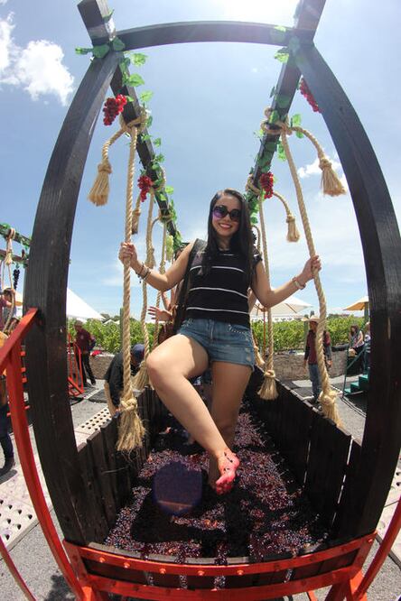 Comienza fiesta de la vendimia