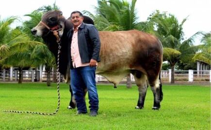 Asesinan a diputado local del PRI en Veracruz; fue emboscado