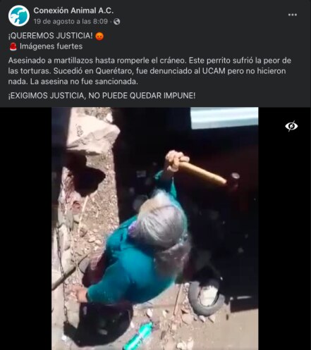 A martillazos, abuelita mata a su perro en Querétaro 