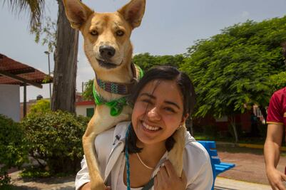 Día del Perro. Querétaro, una ciudad Pet friendly