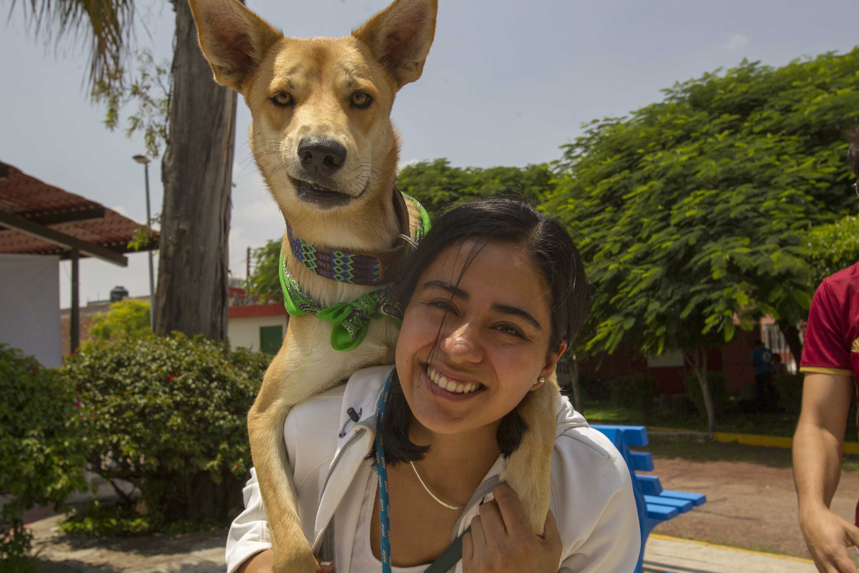 Día del Perro. Querétaro, una ciudad Pet friendly