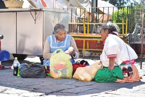 Indígenas no requieren traductores