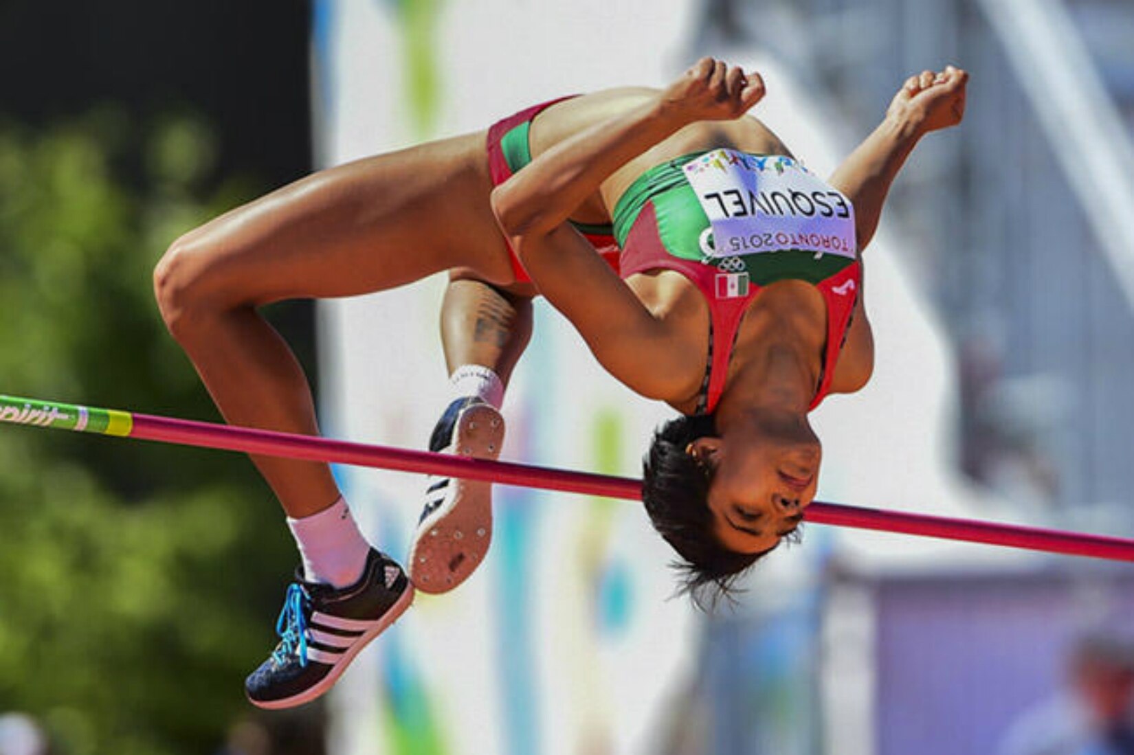 Ximena Esquivel gana PED2016