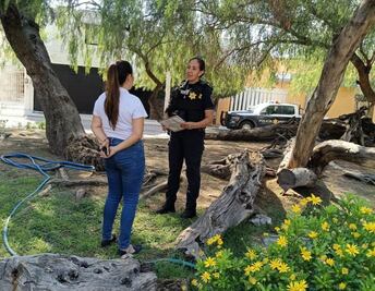 Detienen en la capital queretana a 73 personas en la última semana