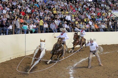 Rancho El Pitayo es el nuevo campeón estatal