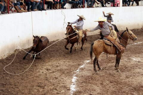 Charreada de Gala en Feria de Colón