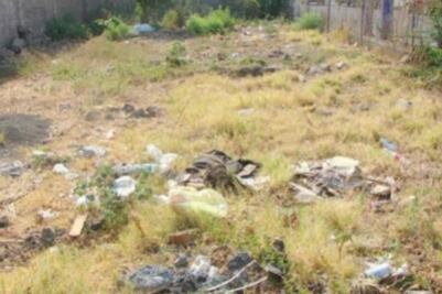 Panistas propondrán cobro 