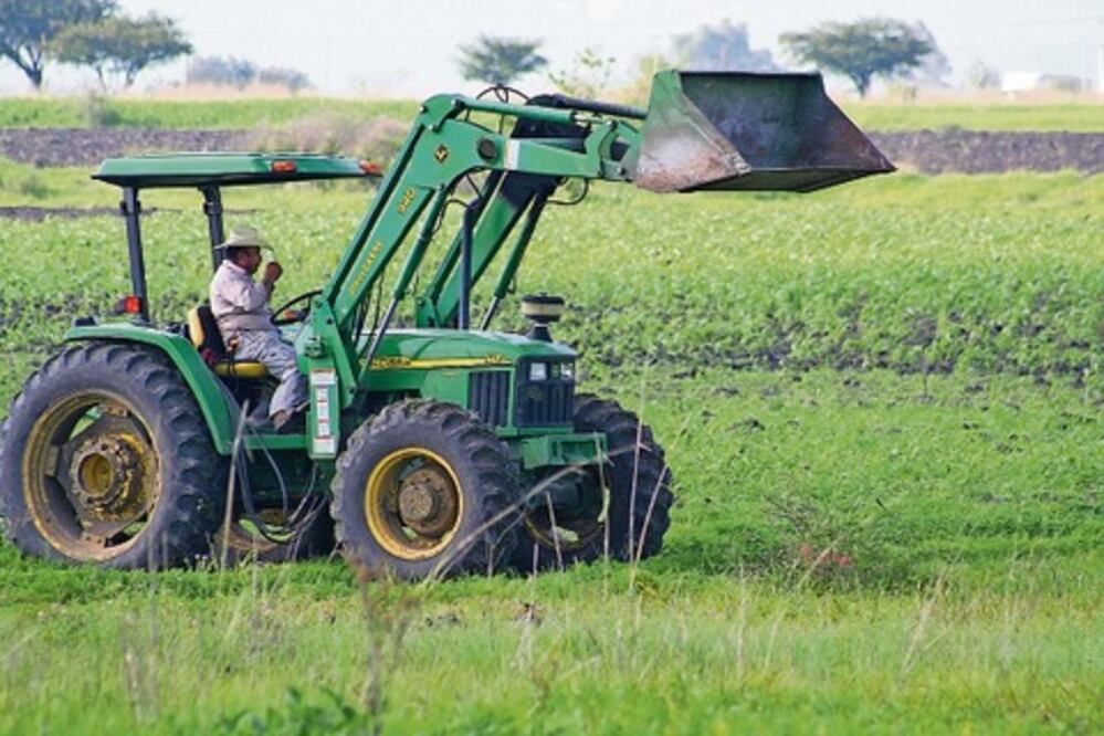 Apuestan por cultivo de cebada