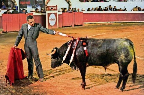 Desestiman acción jurídica contra toros