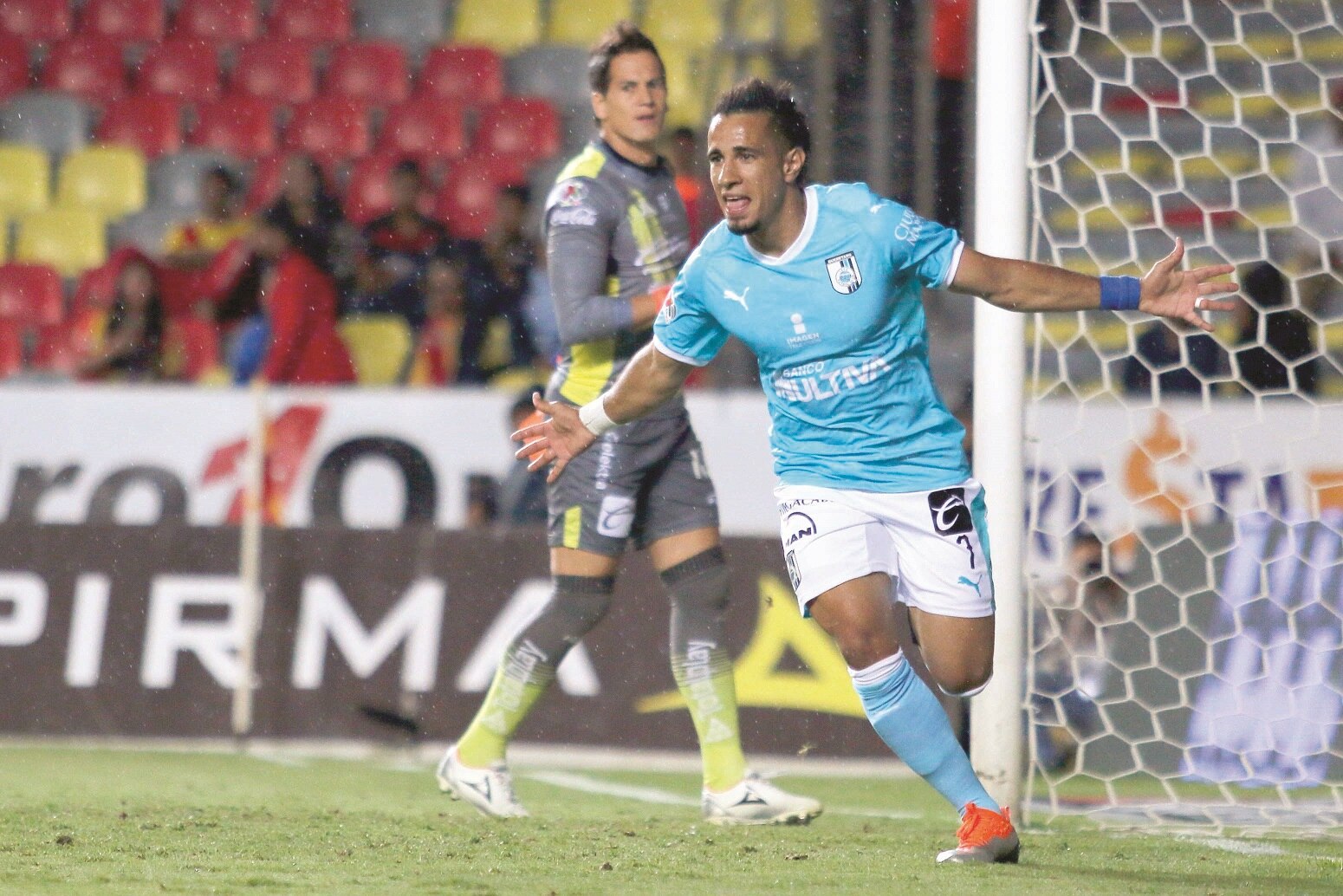 Gallos robustecidos