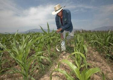 Campesinos están en rezago en Querétaro