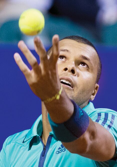 Tsonga acaba con Mayer en Argentina