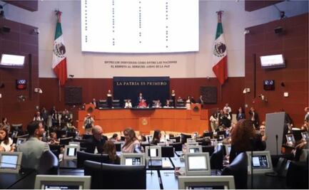 Senado inicia elección del nuevo presidente de la CNDH