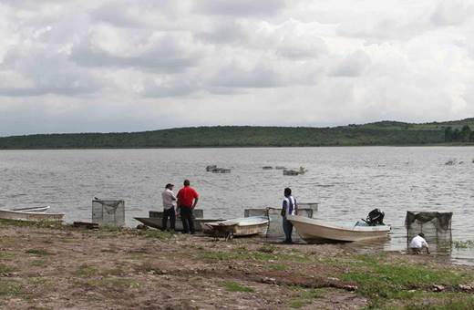 Desfogan cuatro presas