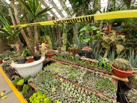 Con largas filas y restricciones, abren el mercado de Las Flores 