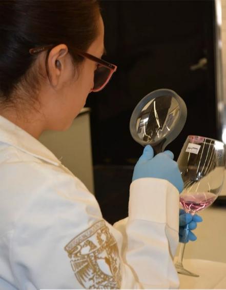 Un beso tuyo puede ayudar a la ciencia ¿sabes cómo?