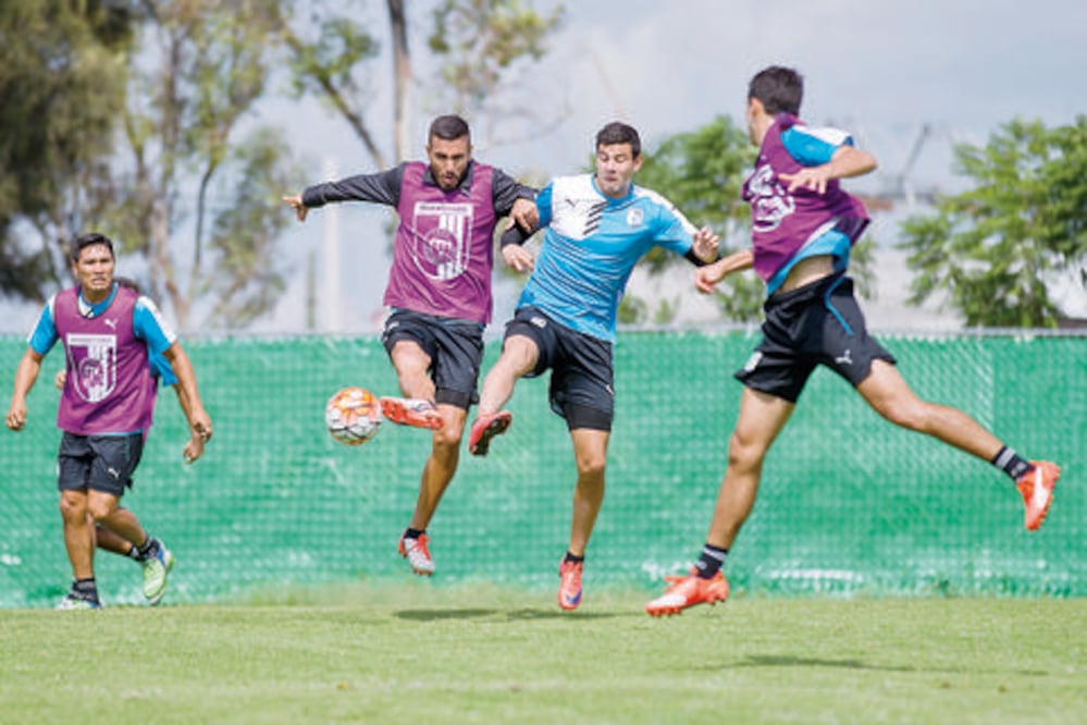 Gallos, ante un turbio panorama