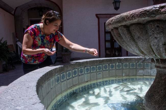 Reviven tradición infantil 