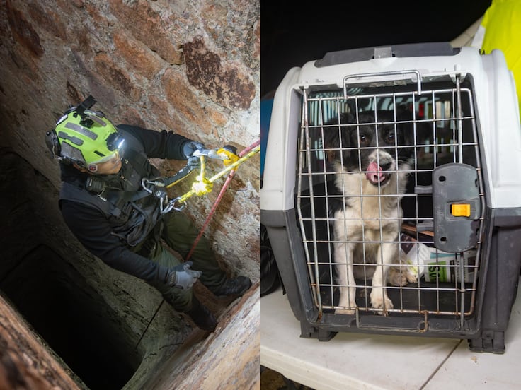 IMPA El Marqués rescata a perrito que cayó a un pozo de difícil acceso