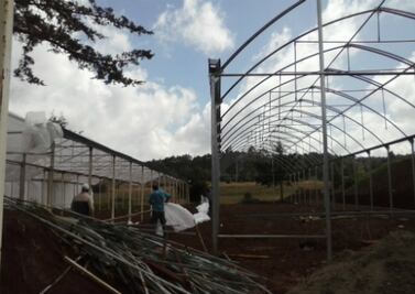 Inauguran invernadero en UAQ Amealco 