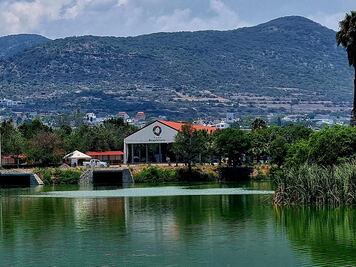 Parque Bicentenario de Querétaro mantiene en buen estado a sus 30 animales, confirma Semarnat