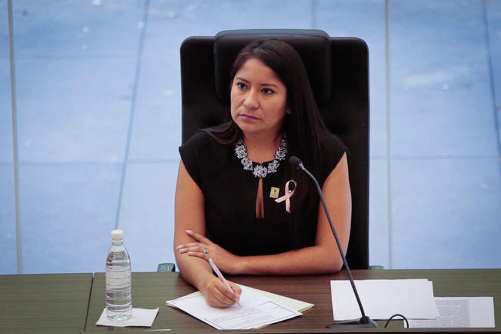 Daesy Hinojosa, líder de la Comisión de Participación Ciudadana, insistió en que hay más herramientas que fomentan la participación ciudadana. (ARCHIVO. EL UNIVERSAL)