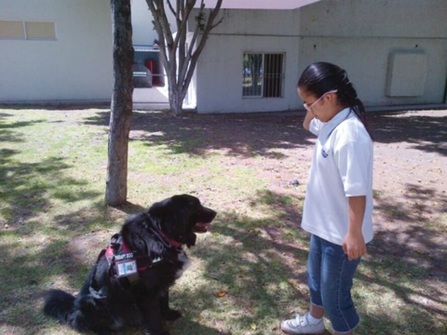 Atienden a niños y adultos con canes