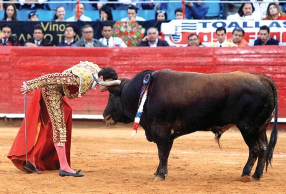 José Mauricio muestra clase