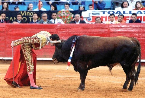 José Mauricio muestra clase