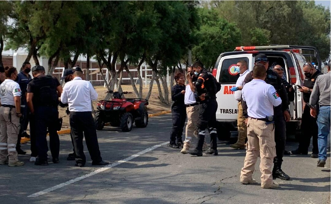 Niño intenta acariciar a un lobo y este le arranca el brazo, en parque del Estado de México