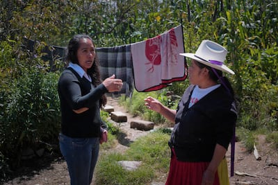 Violencia y adicciones, en escuelas rurales