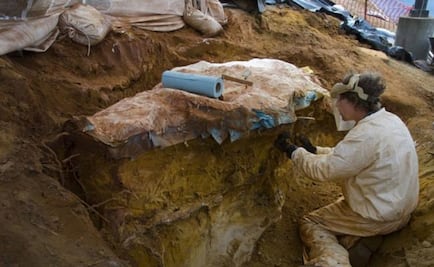 Centro de la NASA tiene huellas de hace 100 millones de años