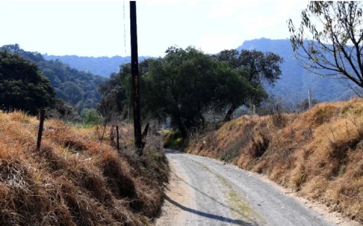 Foto: Armando Martínez