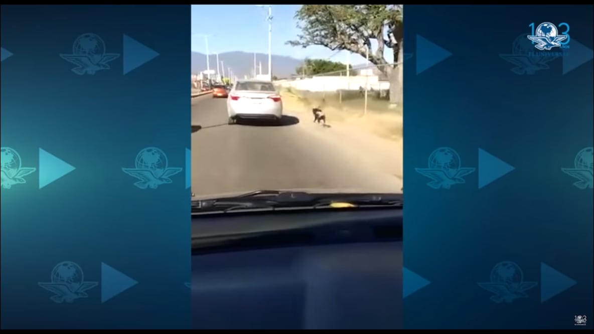 Foto: Captura de pantalla