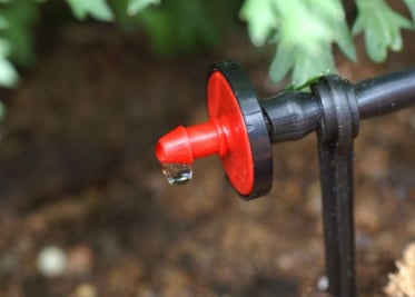 Apuesta Sedea a tecnificación de campo  